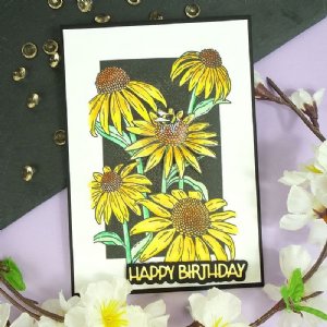 Hunkydory Crafts - For the Love of Stamps - Coneflower Delights