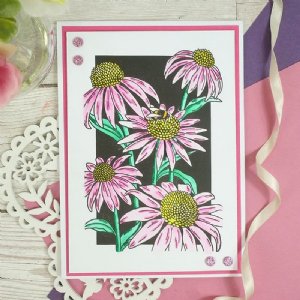 Hunkydory Crafts - For the Love of Stamps - Coneflower Delights