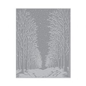 Hero Arts - Letterpress and Foil - Snowy Night