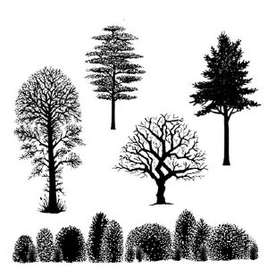 Lavinia - Clear Stamp - Tree Scene