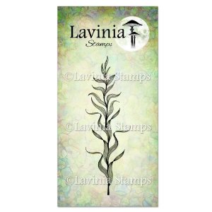 Lavinia - Clear Stamp - Marine Kelp