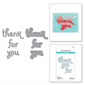 Spellbinders - Dies - Stitched Thank You & For You